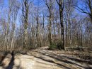 Bois du Crot